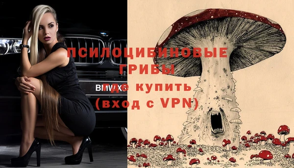 прущий лед Арсеньев