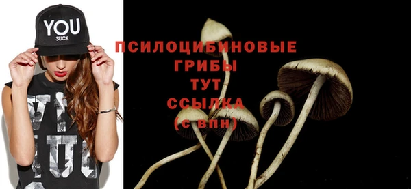дмт Рославль