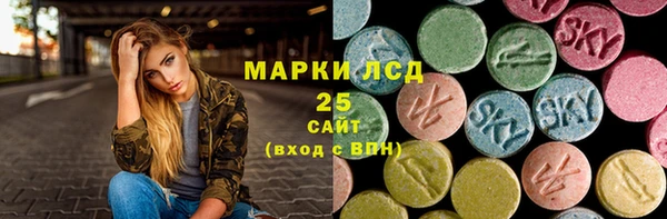 хмурый Аркадак