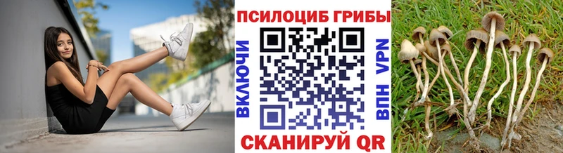 продажа наркотиков  Певек  Псилоцибиновые грибы ЛСД 
